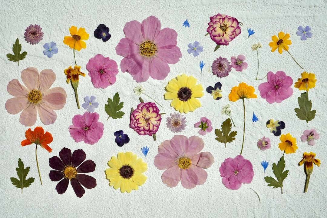 AvisFloralsAndGifts — Pressed Flower Cake Decorations — best for Garden and floral weddings