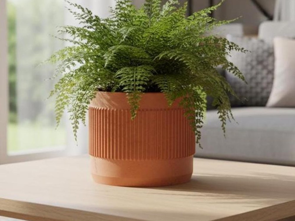 RosebudHomeGoods — Mid-Century Ribbed Planter with Drainage — best for Best modern planter