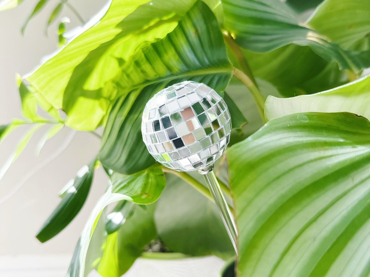 Two small mirrored glass disco balls on clear acrylic stakes in a green potted houseplant