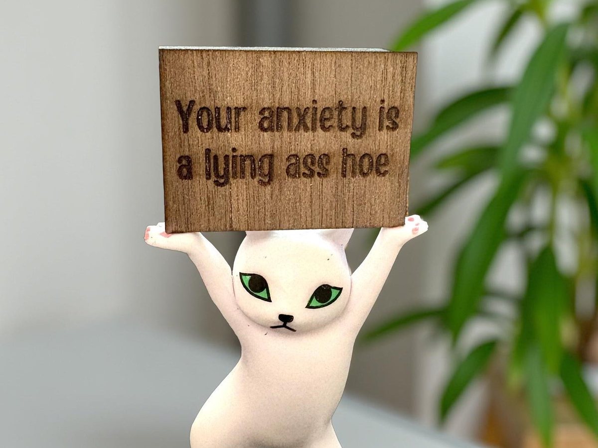 Small resin cat figurine holding a sign with a blunt pep-talk message, a funny cat mom gift for a desk