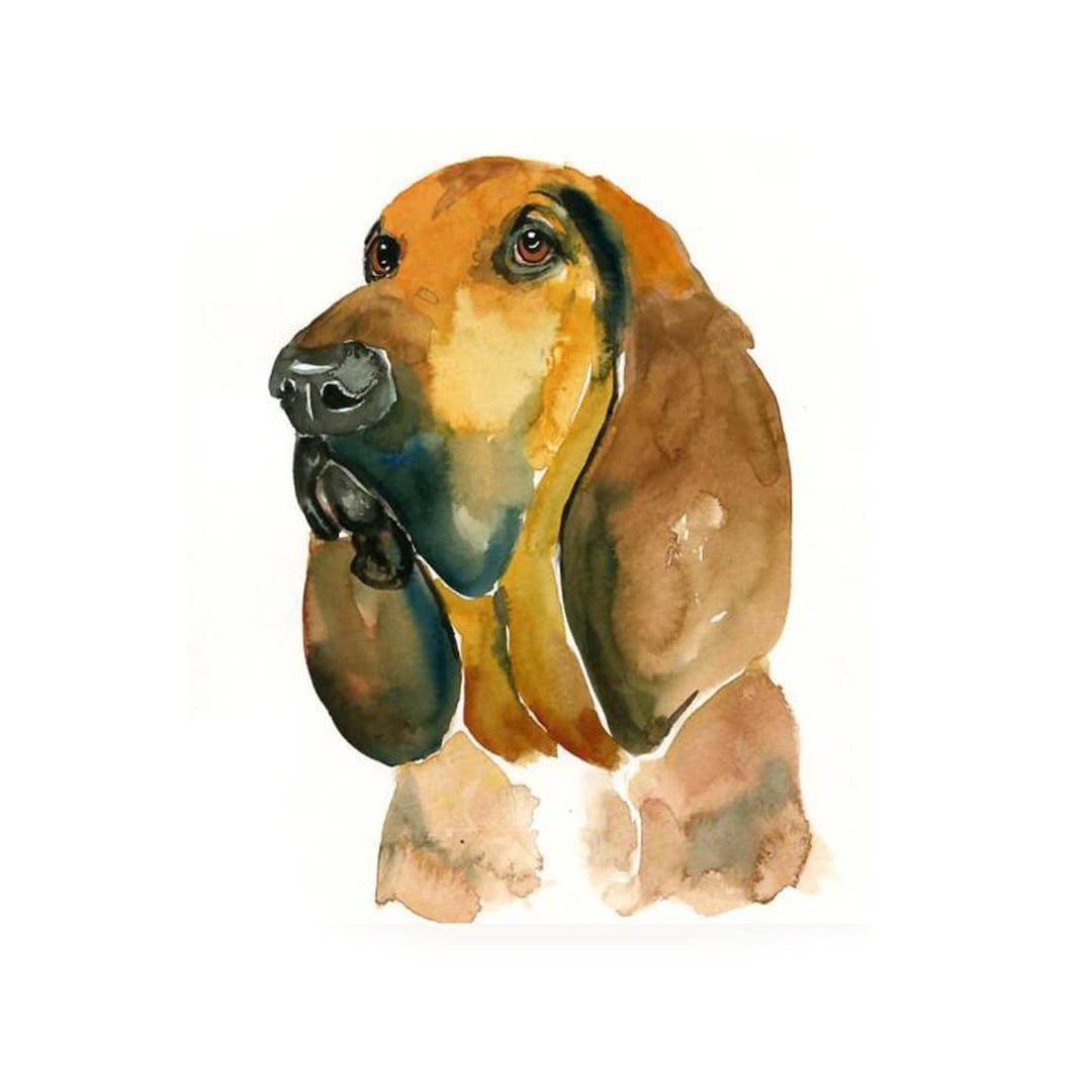 Dimdi hand-painted custom pet portrait on canvas Etsy