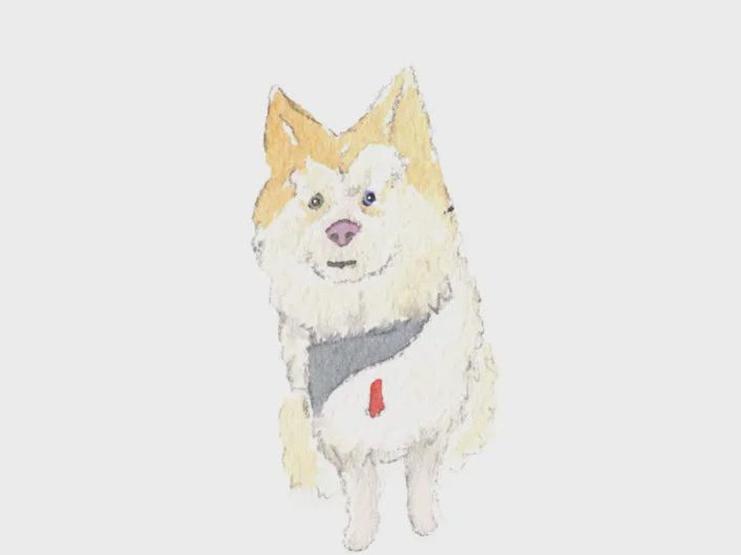 Loose watercolor portrait of a brown-and-white dog on textured cotton paper, an heirloom keepsake for a dog mom