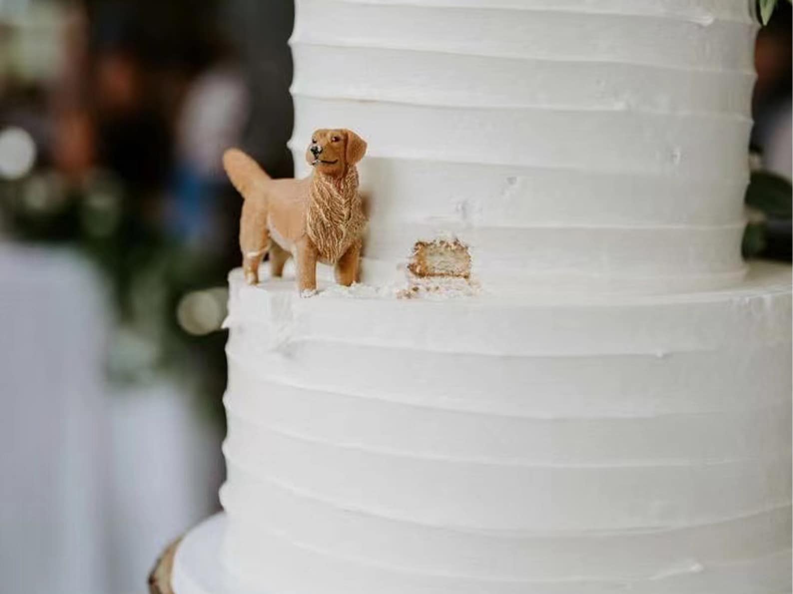 Personalized dog wedding cake topper figurine matching the couple's pet from CakeTopperJob on Etsy