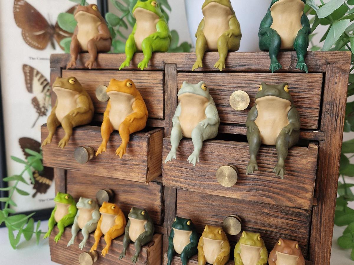 Small hand-painted resin frog figurines, sold in 3cm and 5cm sizes, sitting on wood shelves